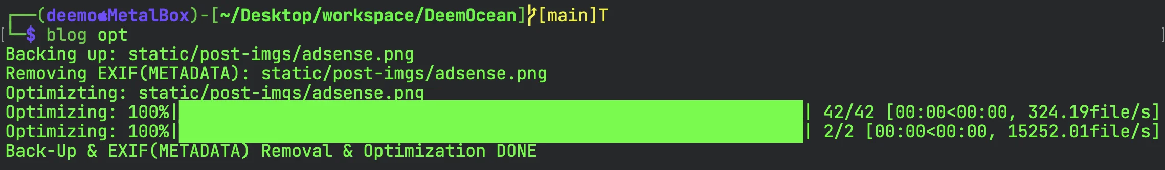 Running Image Opt script